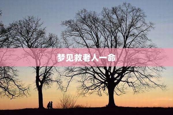 梦见救老人一命