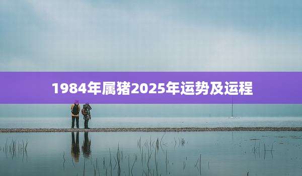 1984年属猪2025年运势及运程