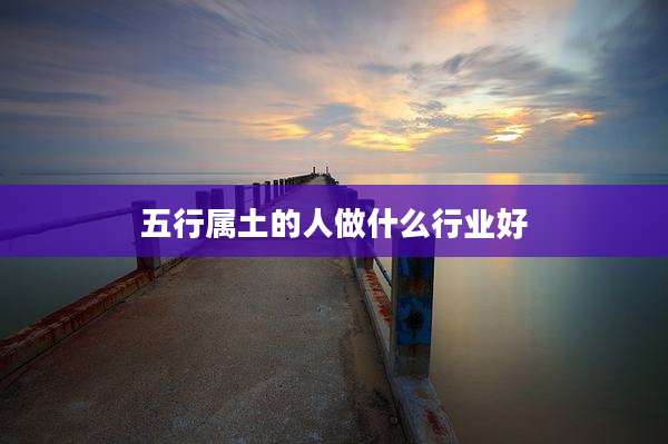 五行属土的人做什么行业好