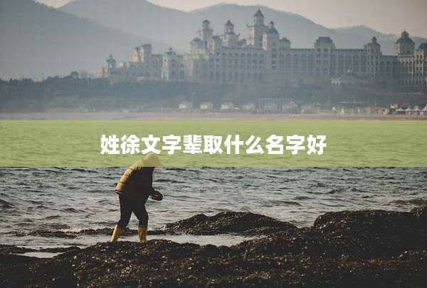 姓徐文字辈取什么名字好
