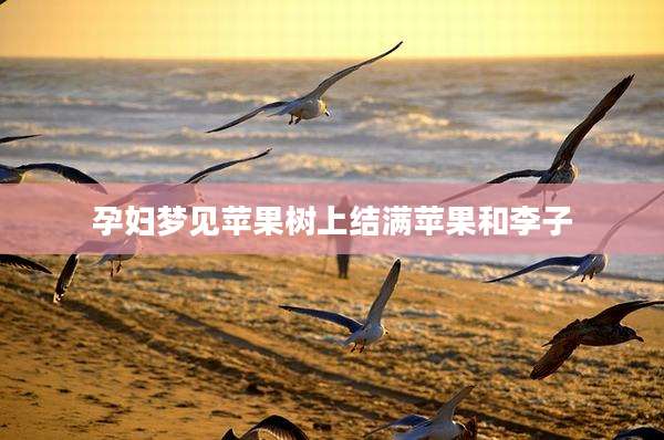 孕妇梦见苹果树上结满苹果和李子