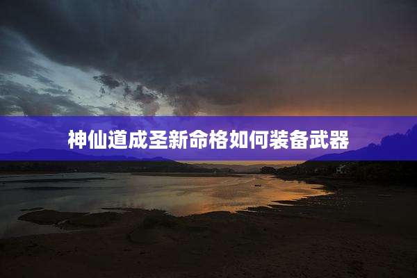 神仙道成圣新命格如何装备武器