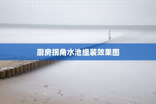 厨房拐角水池组装效果图