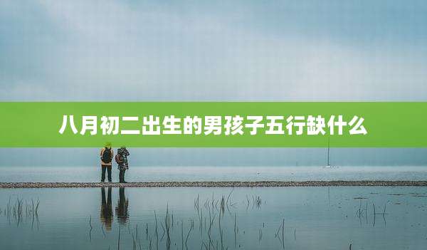 八月初二出生的男孩子五行缺什么