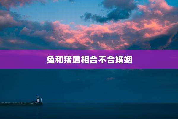 兔和猪属相合不合婚姻