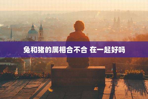 兔和猪的属相合不合 在一起好吗