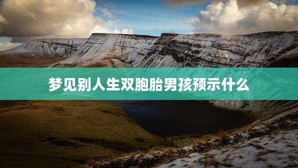 梦见别人生双胞胎男孩预示什么