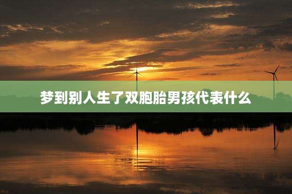 梦到别人生了双胞胎男孩代表什么
