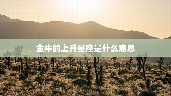 金牛的上升星座是什么意思
