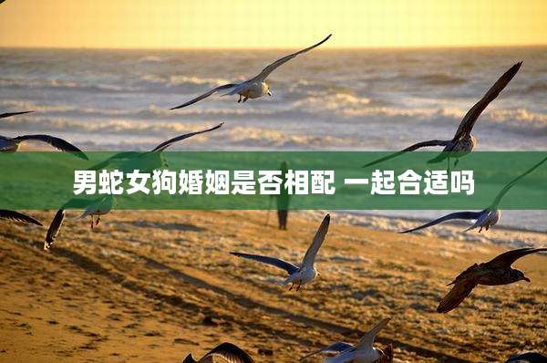 男蛇女狗婚姻是否相配 一起合适吗