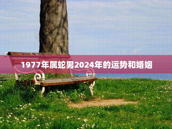 1977年属蛇男2024年的运势和婚姻