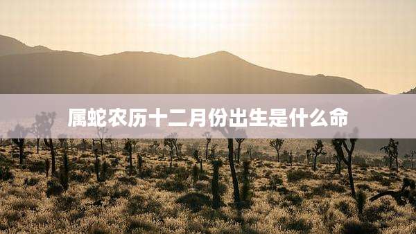属蛇农历十二月份出生是什么命