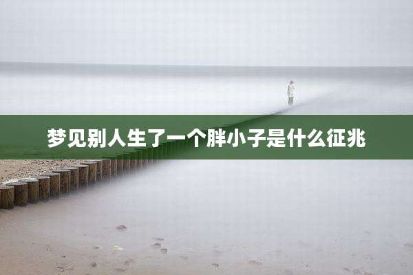 梦见别人生了一个胖小子是什么征兆