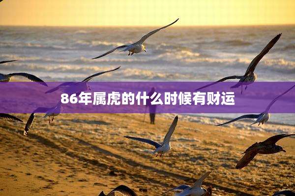 86年属虎的什么时候有财运