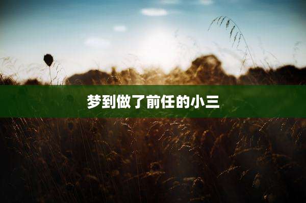 梦到做了前任的小三