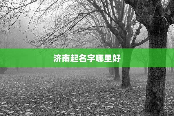 济南起名字哪里好