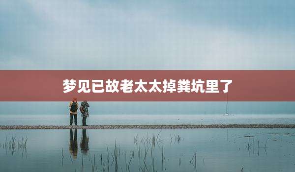 梦见已故老太太掉粪坑里了