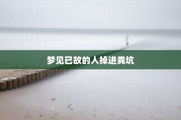 梦见已故的人掉进粪坑