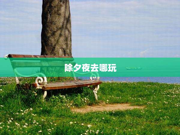 除夕夜去哪玩