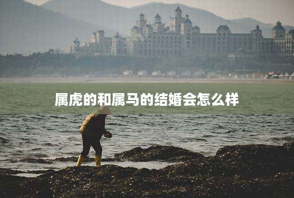 属虎的和属马的结婚会怎么样