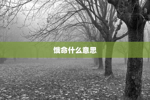 饿命什么意思
