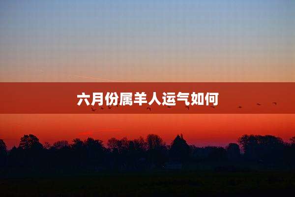 六月份属羊人运气如何