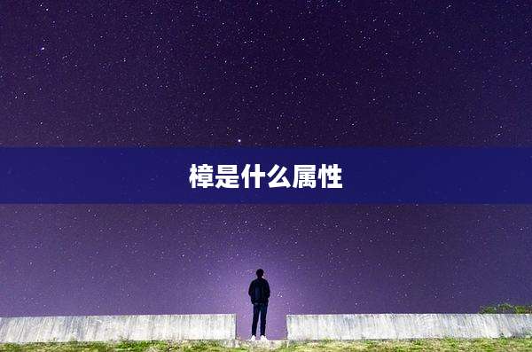 樟是什么属性