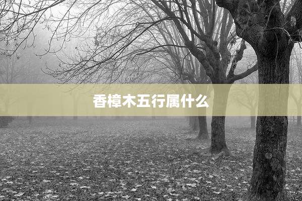 香樟木五行属什么