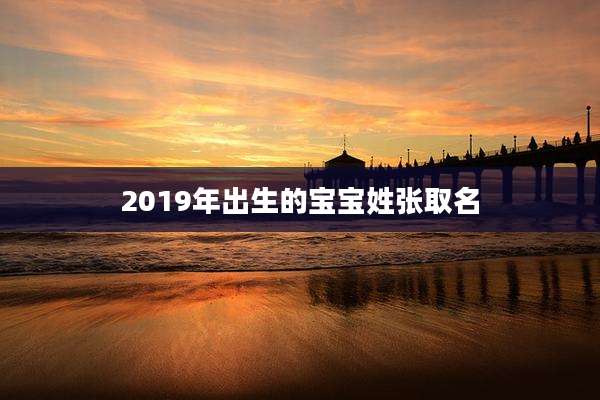 2019年出生的宝宝姓张取名