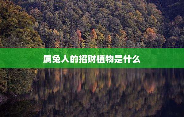 属兔人的招财植物是什么