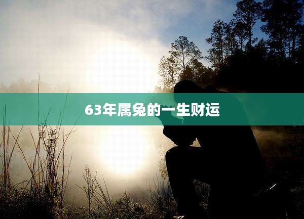 63年属兔的一生财运
