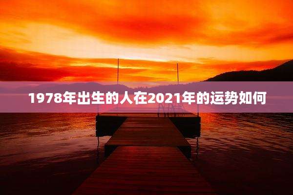 1978年出生的人在2021年的运势如何