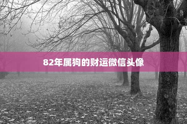 82年属狗的财运微信头像