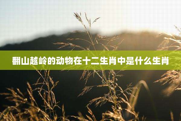 翻山越岭的动物在十二生肖中是什么生肖