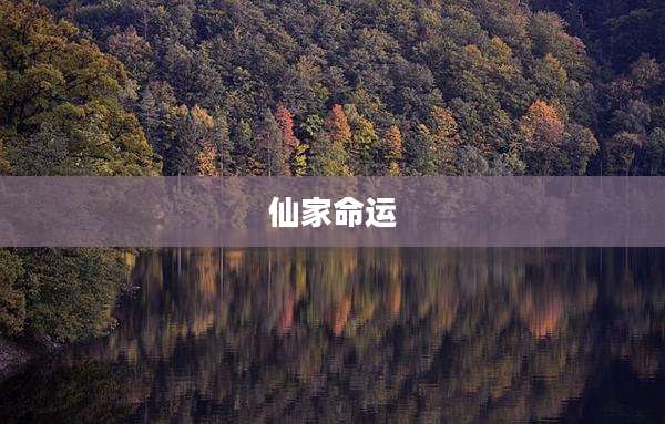仙家命运