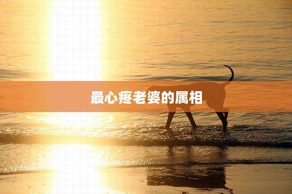 最心疼老婆的属相