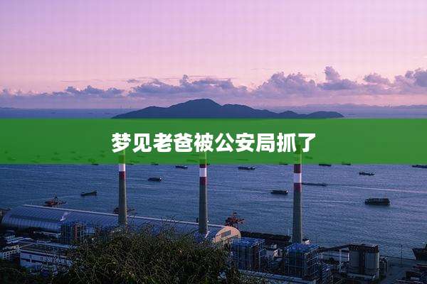 梦见老爸被公安局抓了