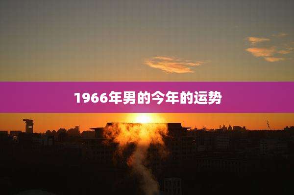 1966年男的今年的运势