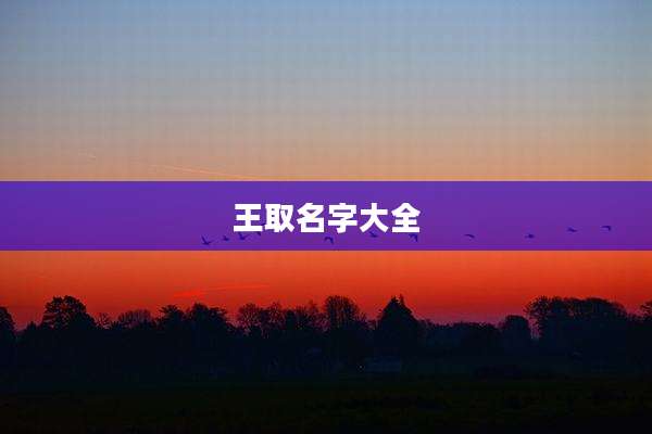 王取名字大全