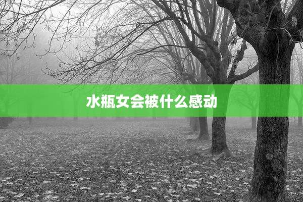 水瓶女会被什么感动