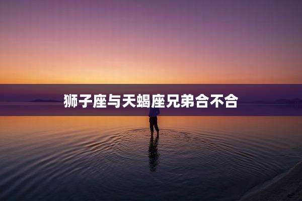狮子座与天蝎座兄弟合不合