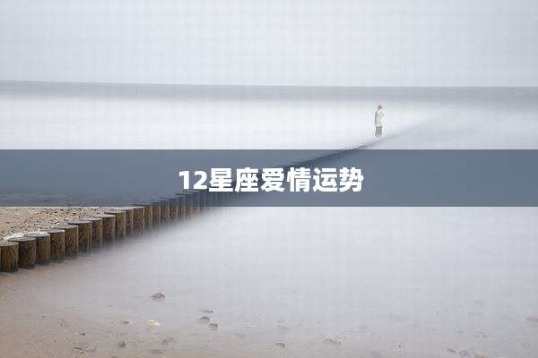 12星座爱情运势