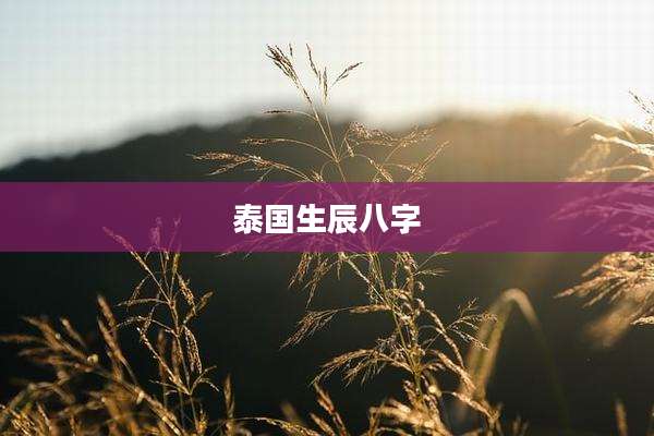 泰国生辰八字