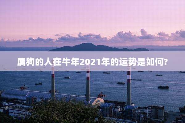 属狗的人在牛年2021年的运势是如何?