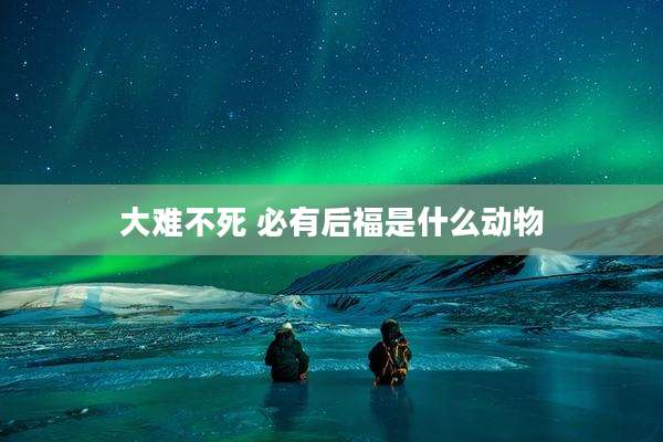 大难不死 必有后福是什么动物