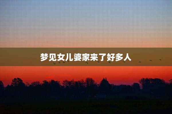 梦见女儿婆家来了好多人