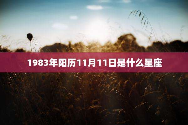 1983年阳历11月11日是什么星座