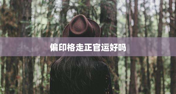 偏印格走正官运好吗