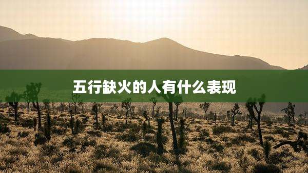 五行缺火的人有什么表现