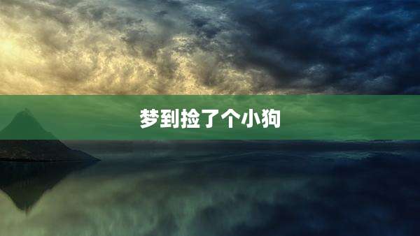 梦到捡了个小狗